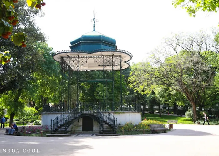 Campo De Ourique Premium