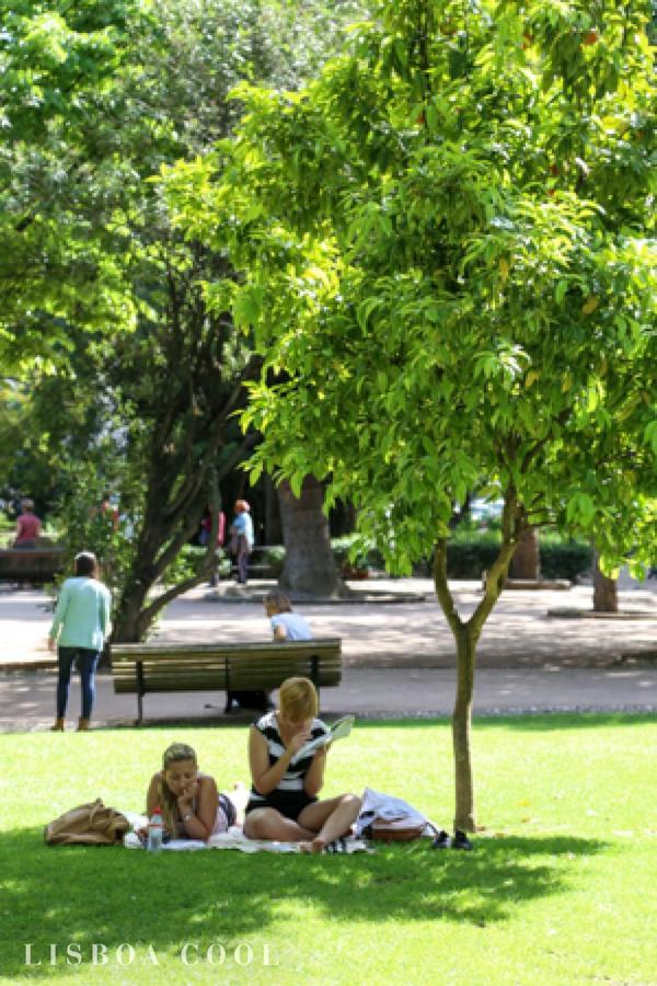 Campo De Ourique Premium Lisbon